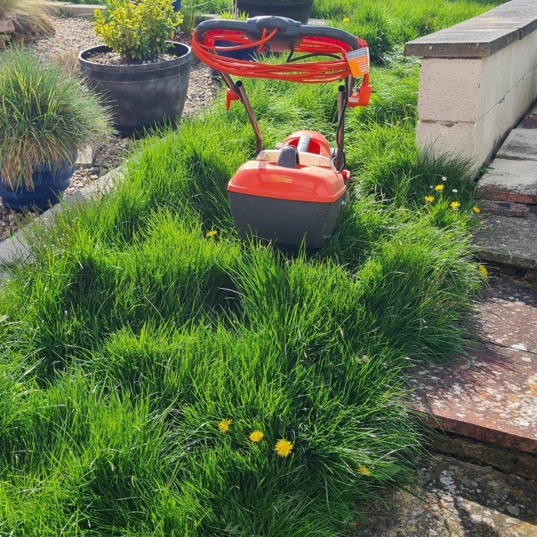 Well-kept garden